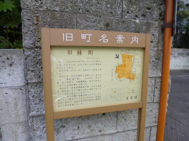 park. Sengoku to parkland 429m