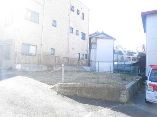 Local land photo. Appearance (1)