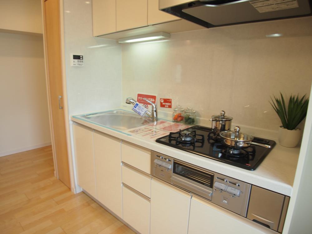 Kitchen. Indoor (11 May 2013) Shooting