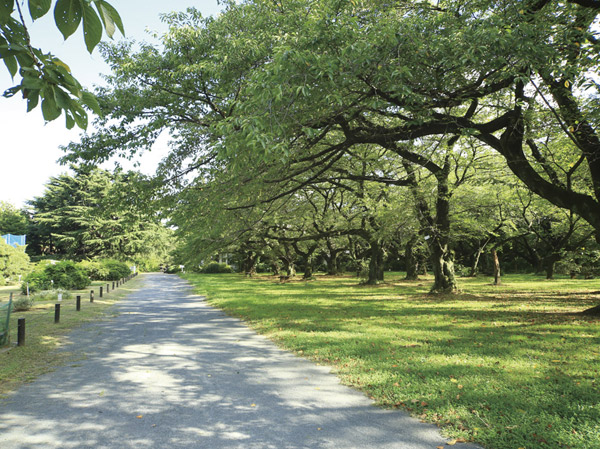 Surrounding environment. Koishikawa Botanical Garden (about 920m ・ A 12-minute walk)