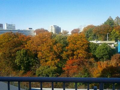 View photos from the dwelling unit