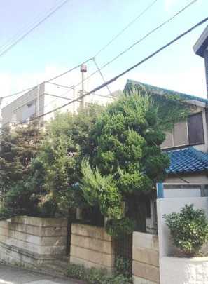 Local land photo. Appearance Photo 1