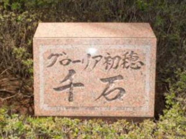 Other introspection. Other