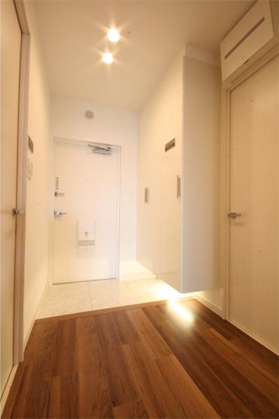 Other introspection. Same specifications is a picture.