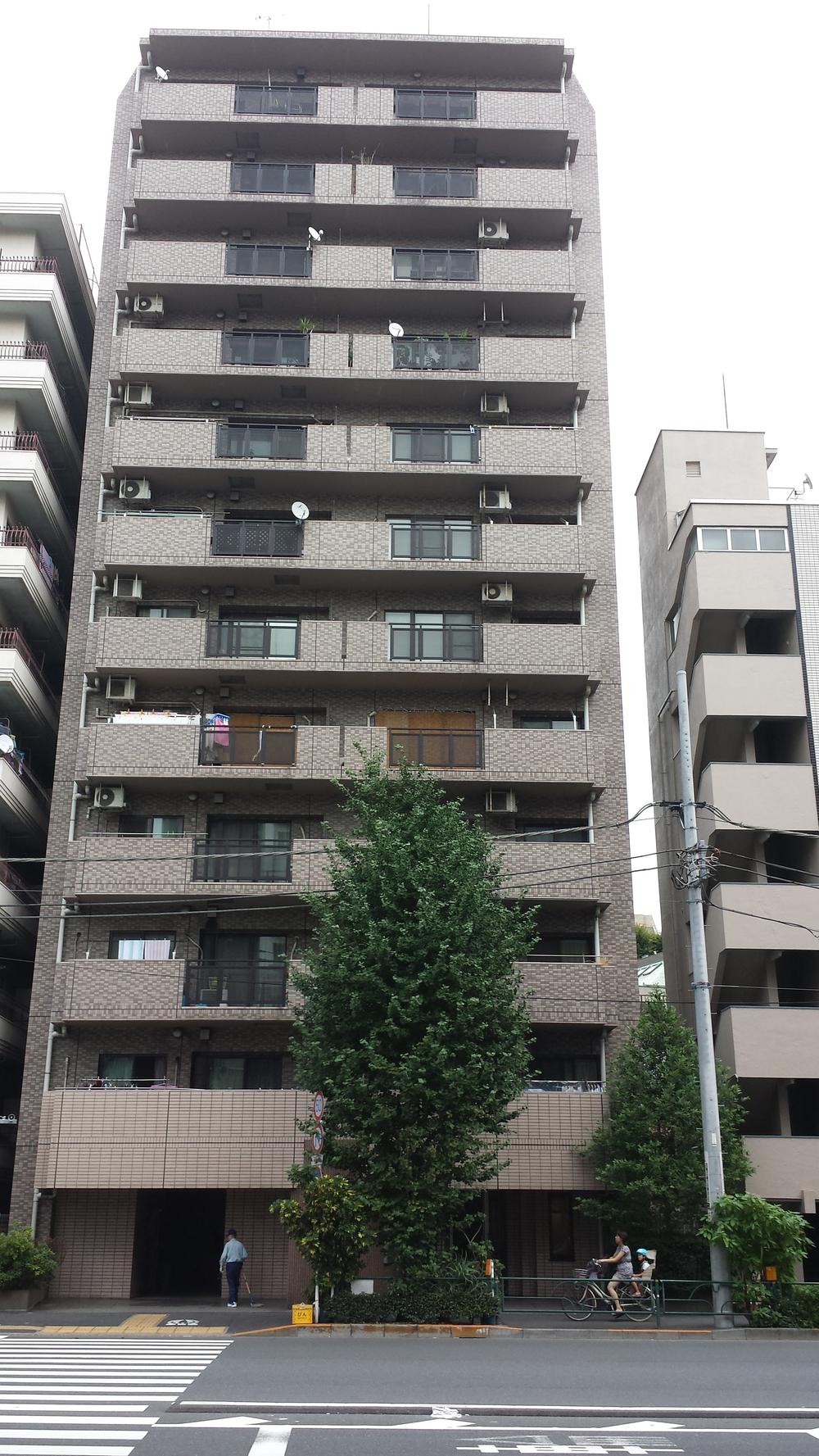 Local appearance photo. Local (09 May 2013) Shooting