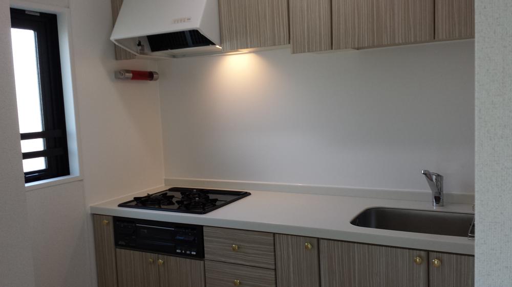 Kitchen. Indoor (10 May 2013) Shooting