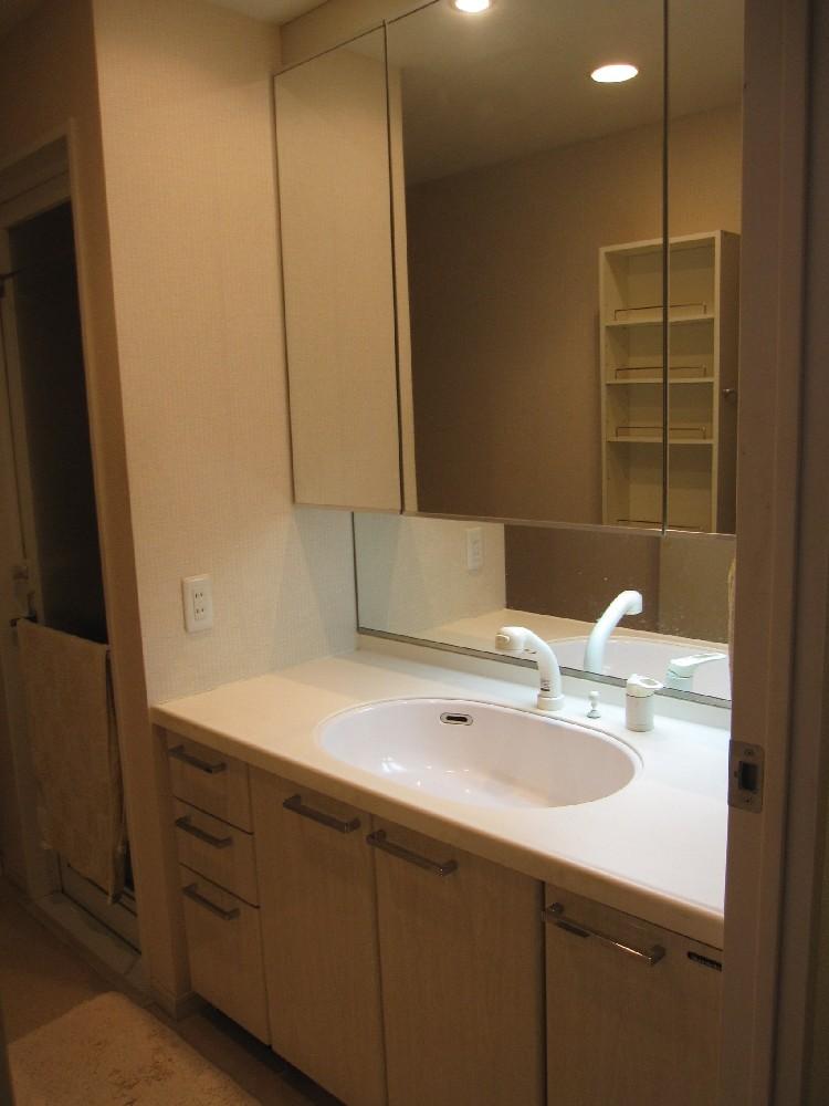 Wash basin, toilet. Indoor (11 May 2013) Shooting