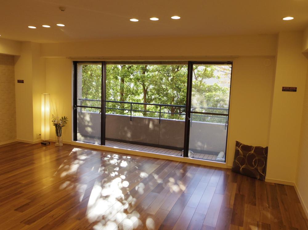 Living. Indoor (11 May 2013) Shooting