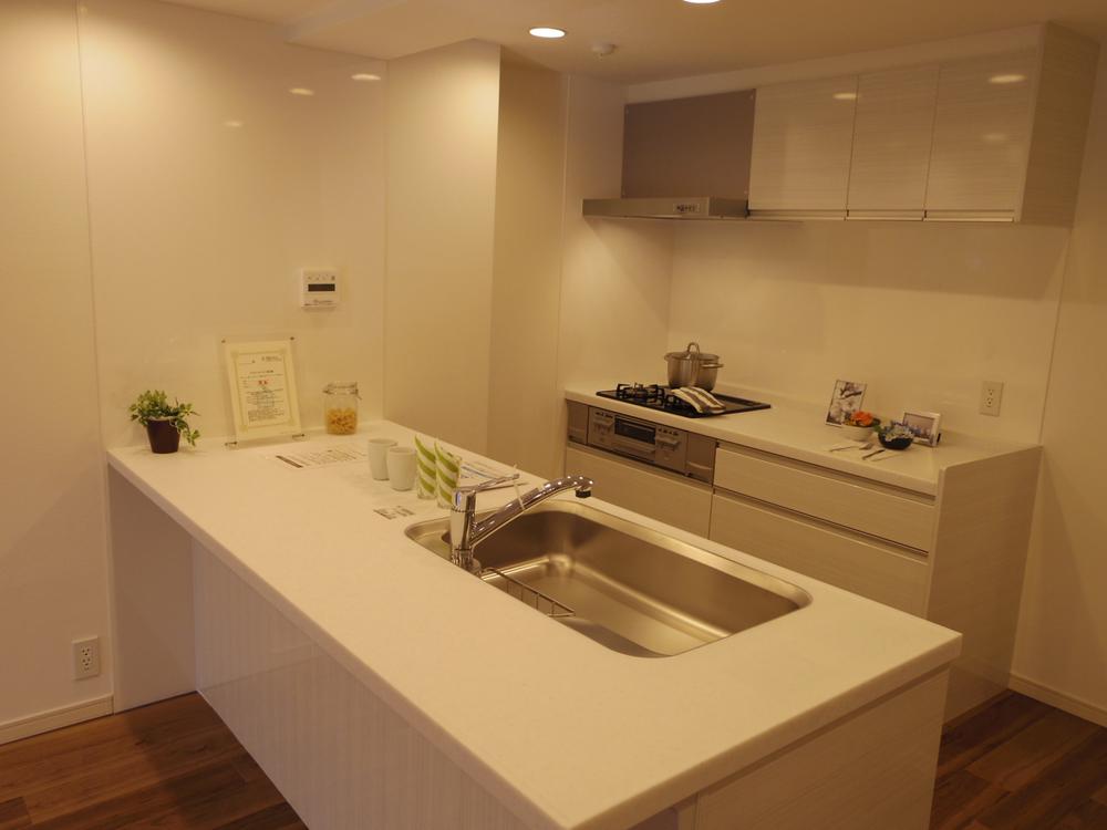 Kitchen. Indoor (11 May 2013) Shooting