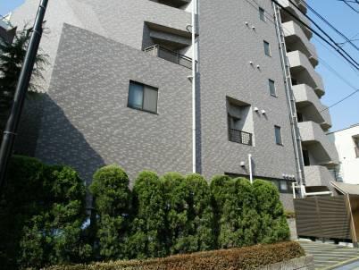 Local appearance photo