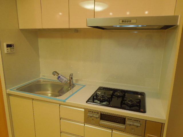 Kitchen. Indoor (11 May 2013) Shooting