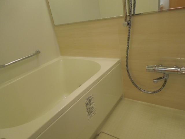 Bathroom. Indoor (11 May 2013) Shooting