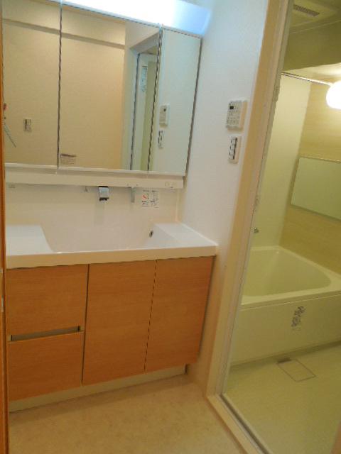 Wash basin, toilet. Indoor (11 May 2013) Shooting