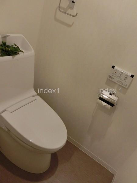 Toilet. Happy with Washlet!