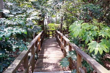 park. Sengoku 323m to green space