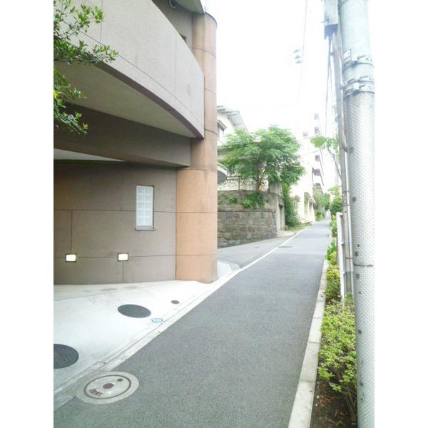 Other introspection. Frontal road