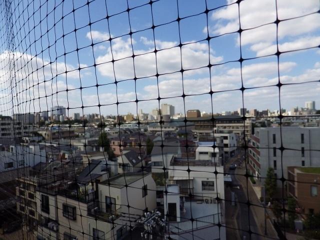 View photos from the dwelling unit