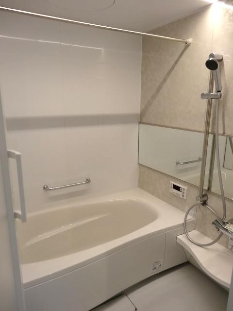 Other introspection. Bathroom (12 May 2013) Shooting