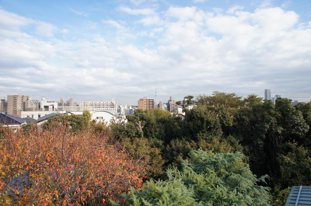 View photos from the dwelling unit. View from the site (November 2013) Shooting