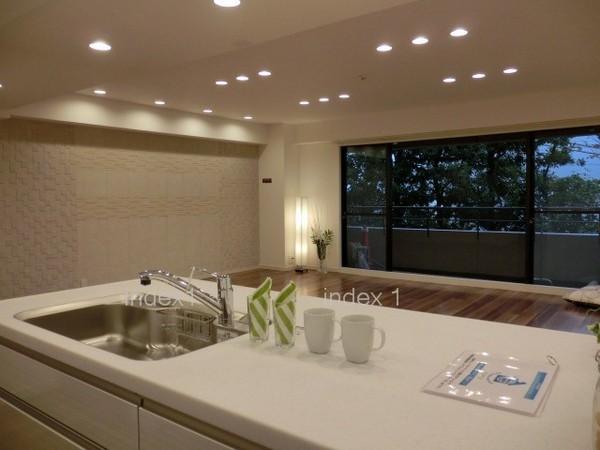 Kitchen. Also bouncy counter kitchen conversation with family