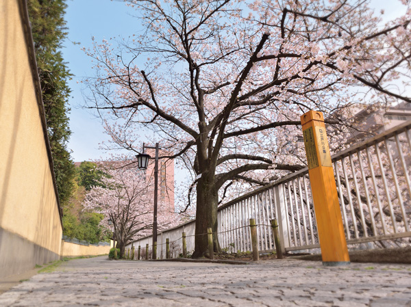 Surrounding environment. Local immediately small diameter along the Kanda towards Edogawa Park River of buckwheat (2-minute walk / About 120m)