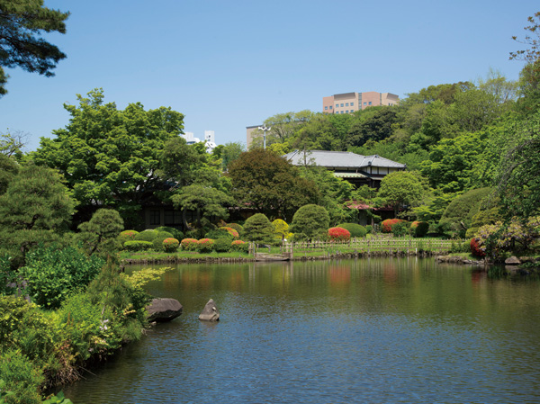 Surrounding environment. It has been established along the Kanda River "Edogawa Park and Shin Edogawa park", With a Japanese garden with about 20,000 square meters, "Tokyo Hotel Chinzanso", Architect Kenzo Tange is the design, Also known in the world, "Tokyo Cathedral Sekiguchi Church of St. Mary's Cathedral.", Wrapped in modern Japanese art align the collection "Kodansha Noma Memorial Hall" (about 580m) that does not lack in the walking path, such as a rich environment <Clio Bunkyo Otowa> is born. (Photo: New Edogawa Park)