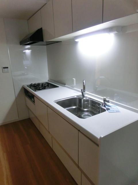 Kitchen. Indoor (July 2013) Shooting