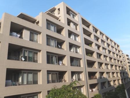 Local appearance photo. Local (12 May 2013) Shooting