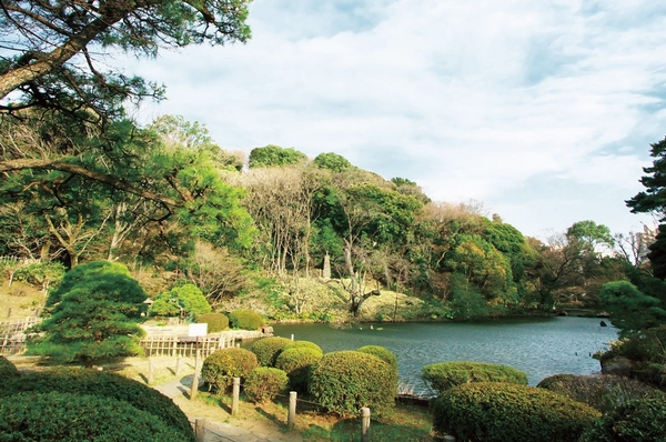 "New Edogawa Park" (about 570m ・ An 8-minute walk)