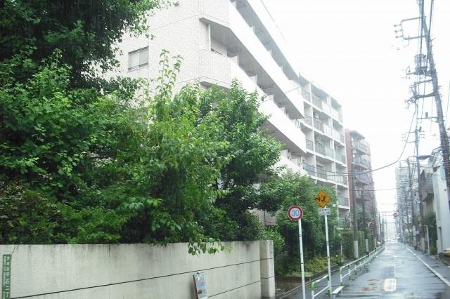 Local appearance photo