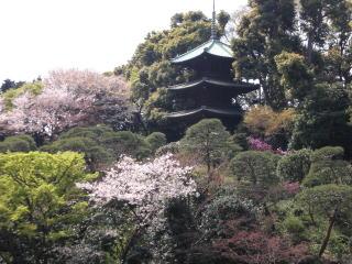 Other Environmental Photo. Until Chinzanso 640m