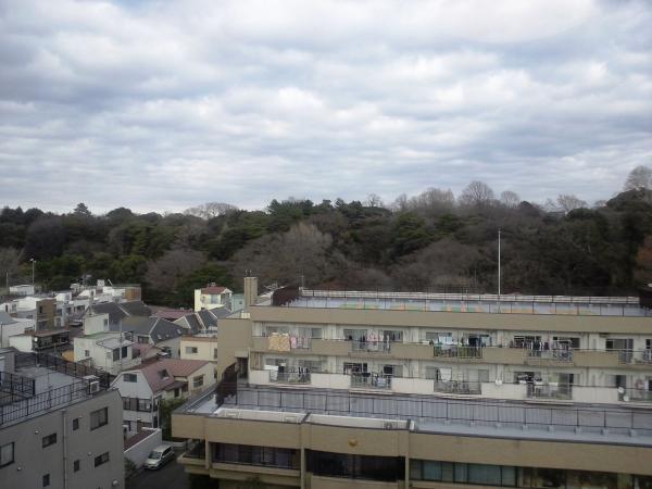 View photos from the dwelling unit