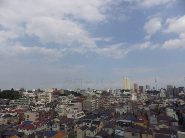 Local appearance photo. View