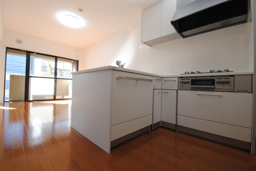 Living. Indoor (11 May 2013) Shooting