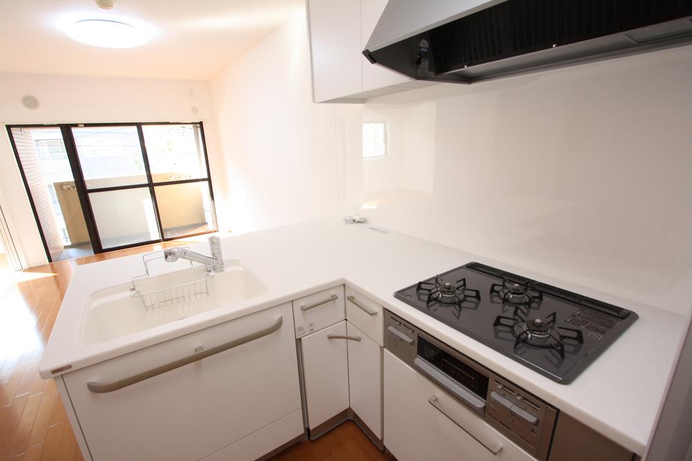 Kitchen. Indoor (11 May 2013) Shooting