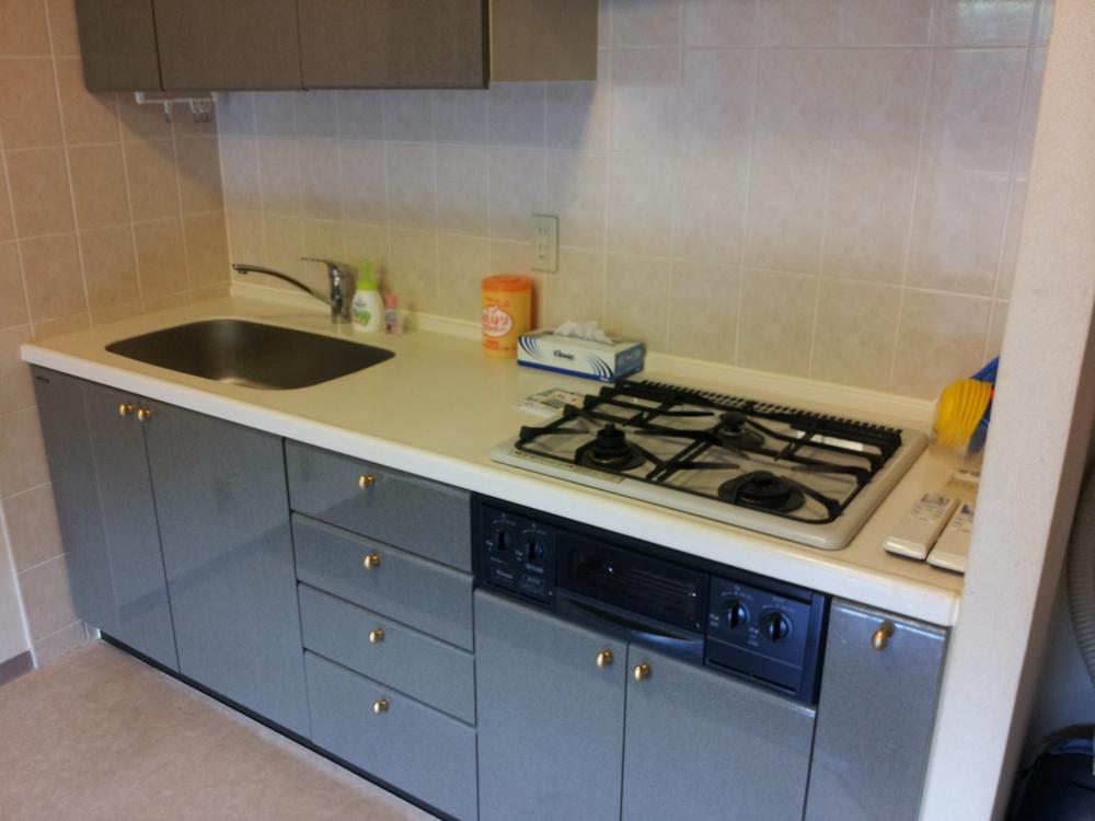 Kitchen. Indoor (10 May 2013) Shooting