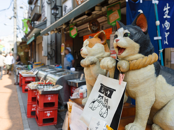 Surrounding environment. Yanaka Ginza shopping district (walk 16 minutes / About 1230m)