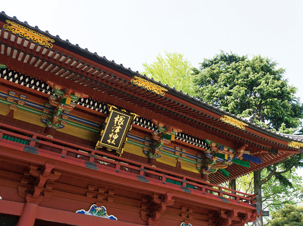 Surrounding environment. Nezu Shrine (18 mins / About 1390m)