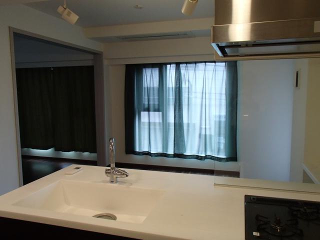 Living. Room (August 2013) Shooting