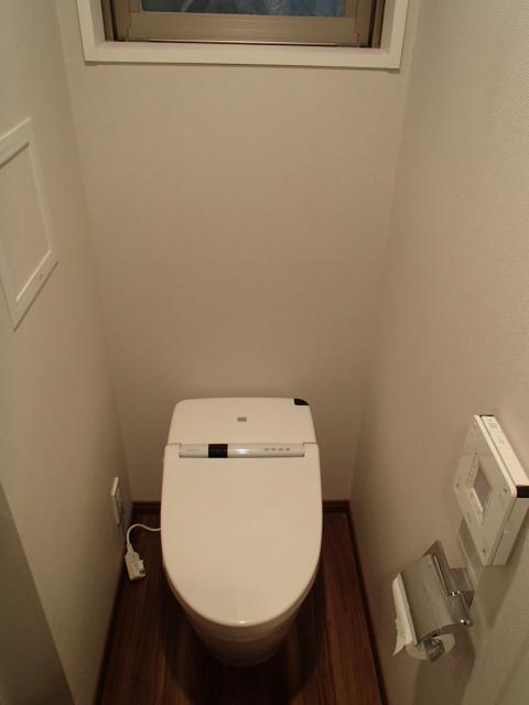 Toilet. Room (August 2013) Shooting