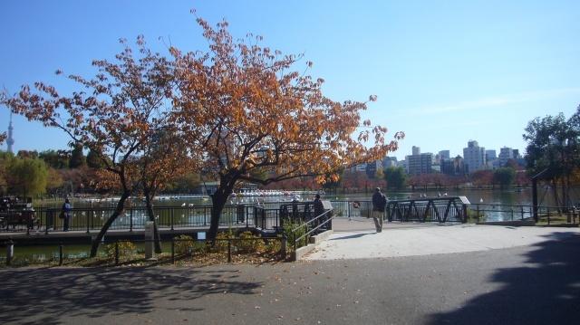 Other. Ueno Park 250 meters