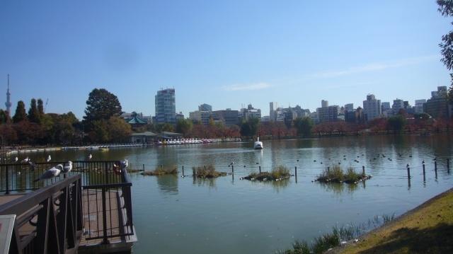 Other. Ueno Park 250 meters