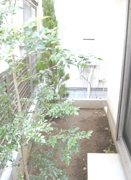 Garden. Per positive for wide is the distance between the adjacent land, Ventilation is good! 