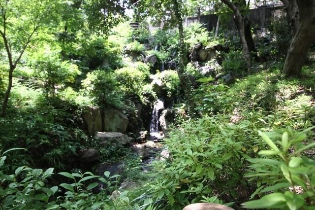 Other local. Natural rich Sudo park