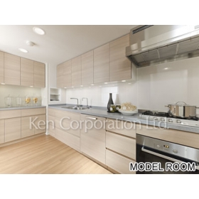 Kitchen. Shoot the same type the fourth floor of the room. Specifications may be different.