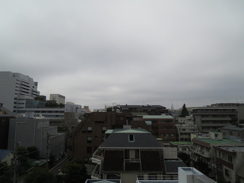 View. View from the LD