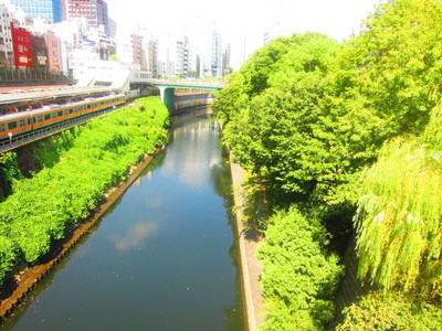 Other. Ochanomizu Bridge ~ Hijiribashi 600m until the (other)