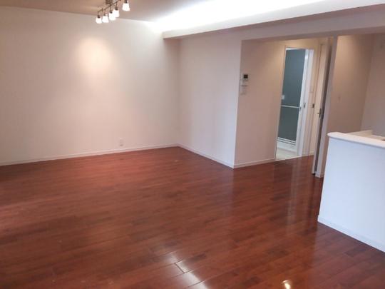 Local appearance photo. Living-dining (1)