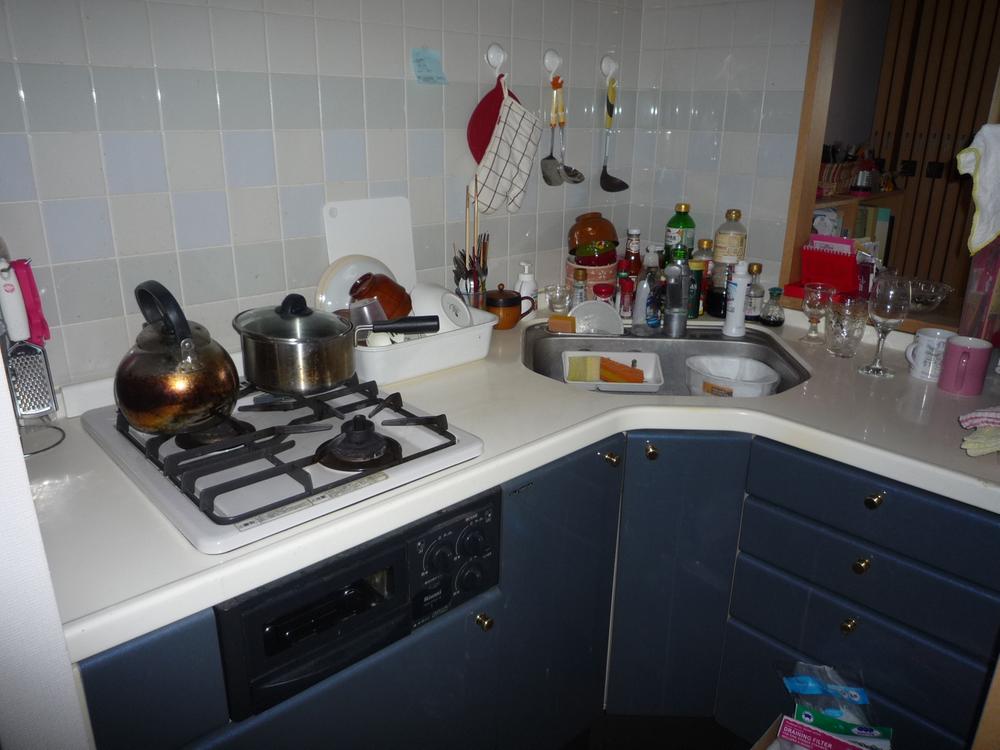 Kitchen. Indoor (12 May 2013) Shooting