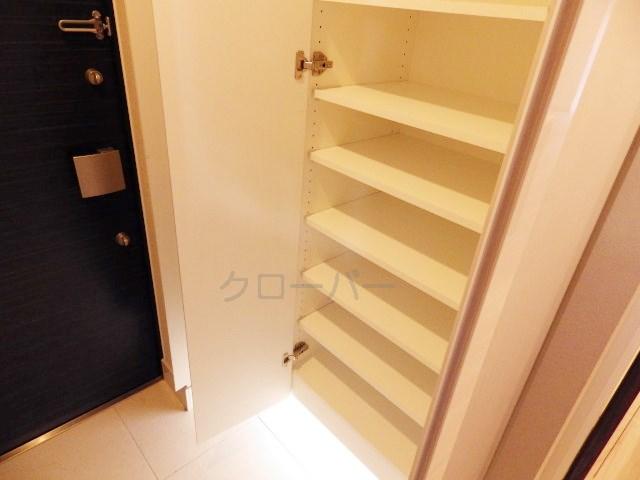 Entrance. Footwear purse